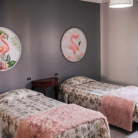 Flamingos Rio * Lisbon