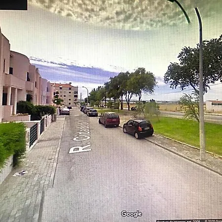 Flamingos Rio Lisbon