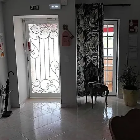 Flamingos Rio Lisbon